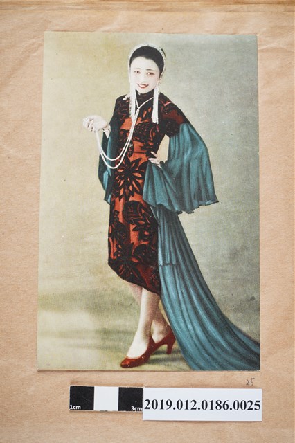 頭戴髮飾的女人 (共2張)