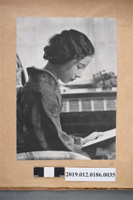 看書的女人 (共2張)