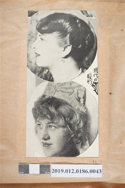 現代髮型相片 (共2張)