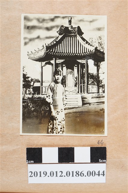 涼亭女子相片 (共2張)