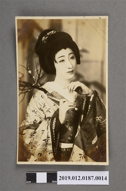 寶塚劇團和服女星劇照 (共5張)