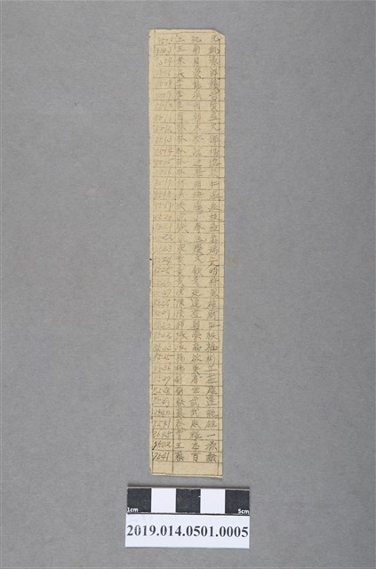 學生名條5 (共2張)