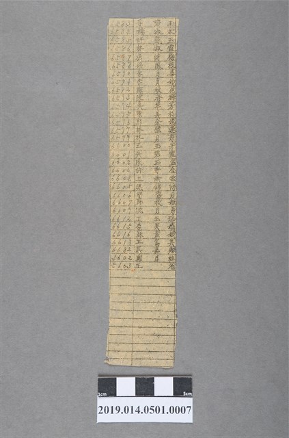 學生名條7 (共2張)