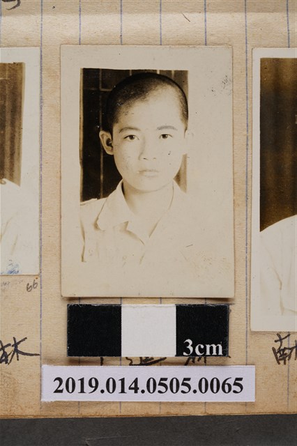 林進丁學生照 (共2張)