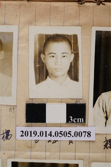 買聰喜學生照 (共2張)