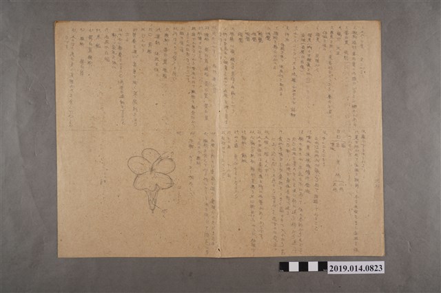 河村禧元生物科答案卷 (共2張)