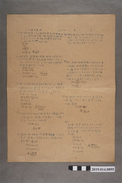 1月15日算術科練習卷 (共2張)