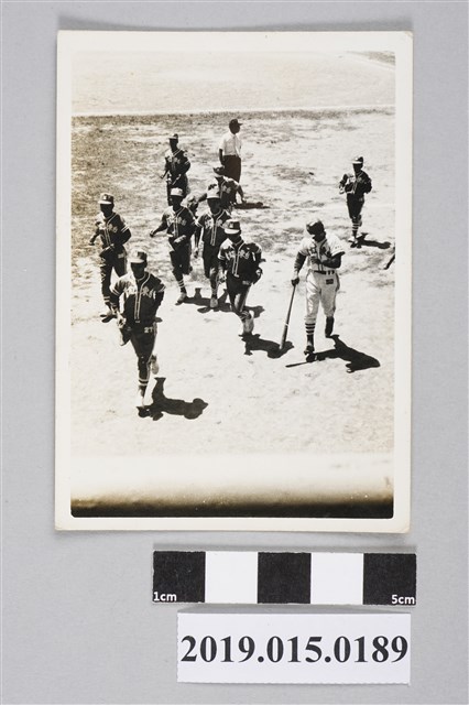 臺東紅葉少棒隊照片 (共2張)