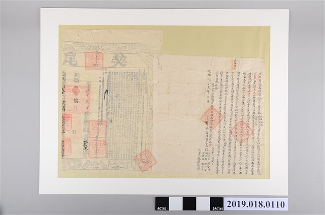 光緒2年2月內宵厘庄林媽投等立杜賣絕盡根契 (共2張)