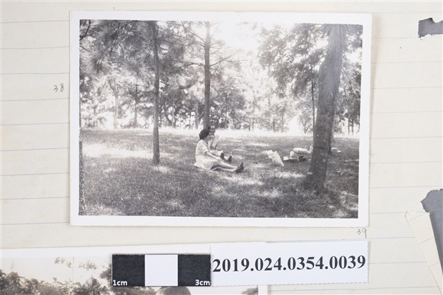 柯蔡阿李坐在草地 (共2張)