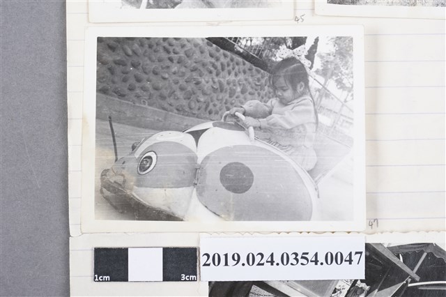 柯旗化長女柯潔芳開碰碰車 (共2張)