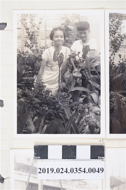 柯旗化長女柯潔芳與柯志哲於第一出版社頂樓花園（高雄八德二路） (共2張)