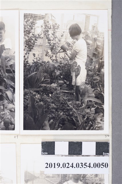 柯旗化長女柯潔芳於第一出版社頂樓花園（高雄八德二路） (共2張)