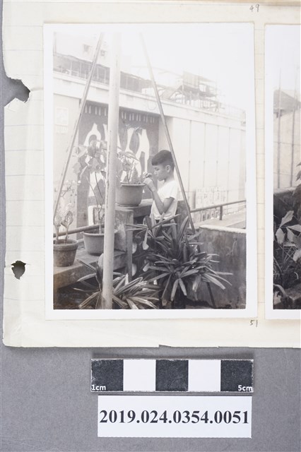 柯旗化次子柯志哲於第一出版社頂樓花園（高雄八德二路） (共2張)