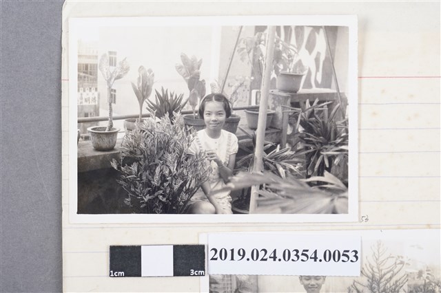 柯旗化長女柯潔芳於第一出版社頂樓花園（高雄八德二路） (共2張)