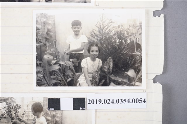 柯旗化次子柯志哲與長女柯潔芳於第一出版社頂樓花園（高雄八德二路） (共2張)