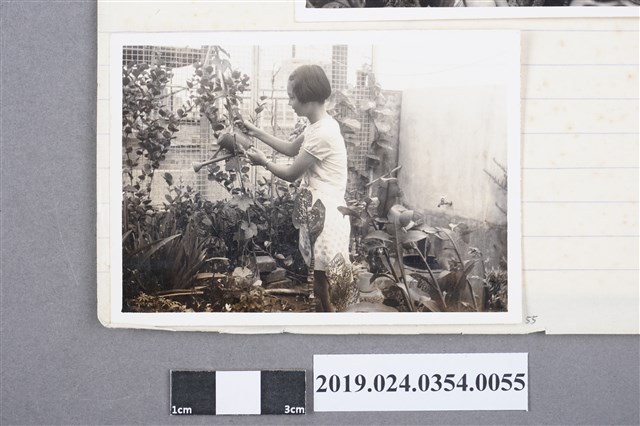 柯旗化長女柯潔芳於第一出版社頂樓花園（高雄八德二路） (共2張)