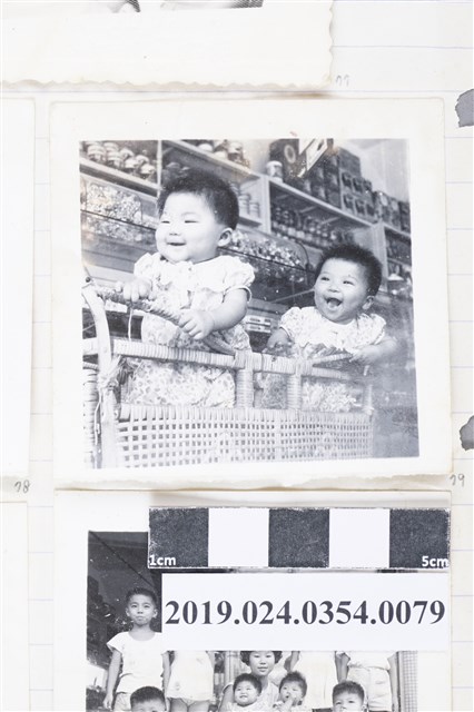 柯旗化的姪女們 (共2張)