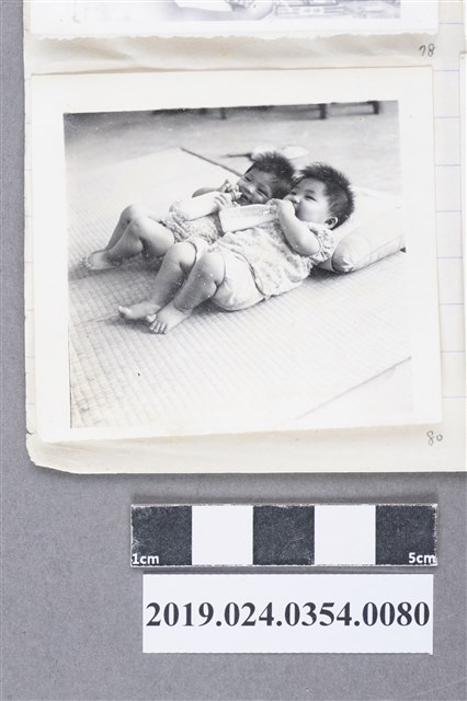 柯旗化的姪女們 (共2張)