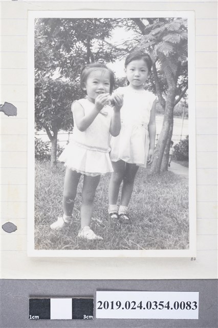 柯旗化三弟柯飛達的女兒 (共2張)