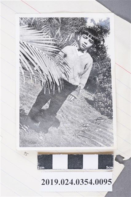 柯旗化長子柯志明獨照 (共2張)