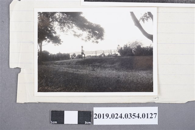 柯志明與柯志哲在湖邊 (共2張)