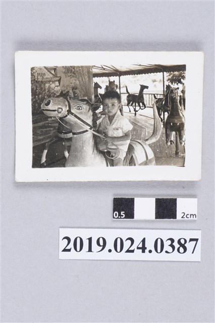 柯志明騎旋轉木馬 (共2張)