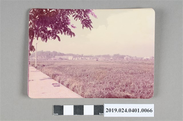 柯旗化拍攝大貝湖遠眺 (共2張)