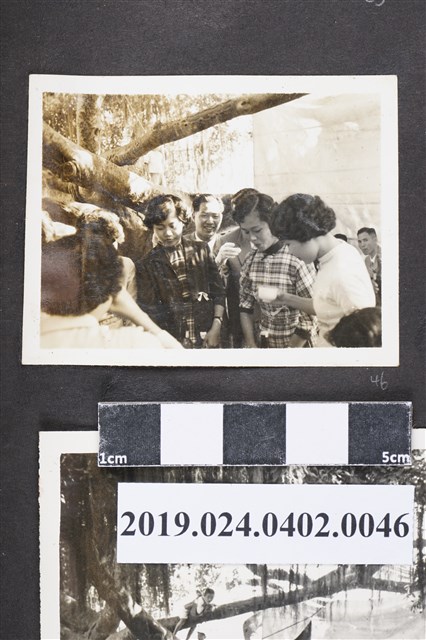 婚禮賓客敬酒 (共3張)