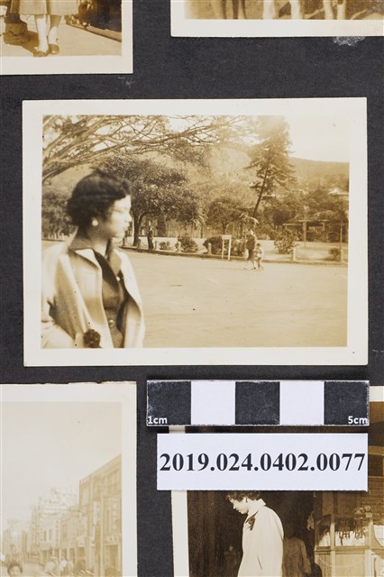 柯蔡阿李於台北新北投 (共3張)