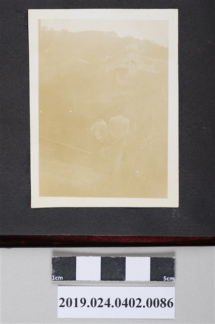 柯旗化夫妻於台北留影 (共3張)