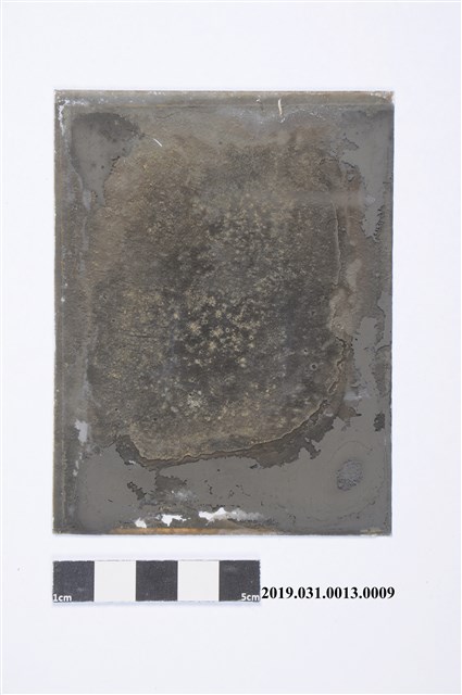 貳拾世建基祖陳上達寫真盒裝玻璃底片9 (共2張)