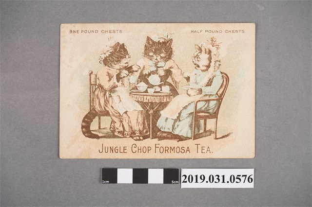 Jungle Chop 福爾摩沙茶貓咪圖樣文宣 (共2張)