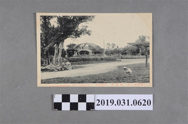 臺灣茶臺北公園孩童風景明信片 (共4張)