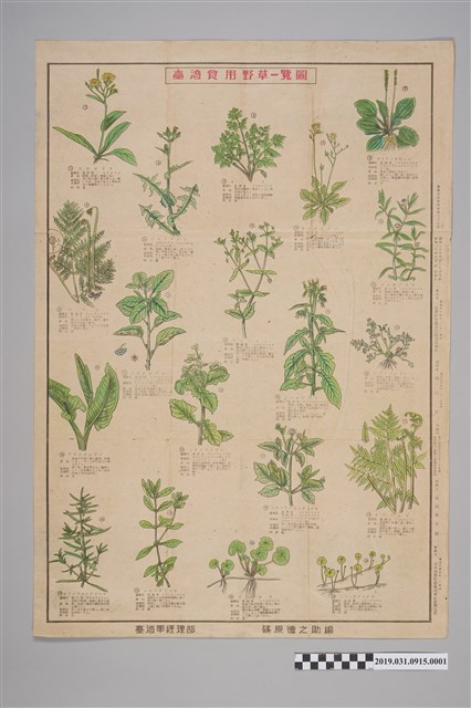 臺灣軍經理部篠原德之助編臺灣食用野草一覽圖1 (共2張)