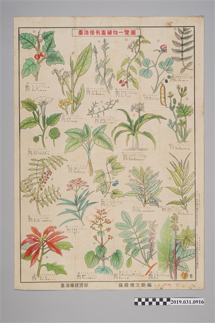 臺灣軍經理部篠原德之助編臺灣產有毒植物一覽圖 (共2張)