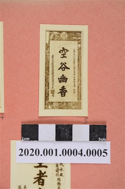 臺灣省政府民政廳廳長連震東賀「空谷幽香」照片 (共2張)