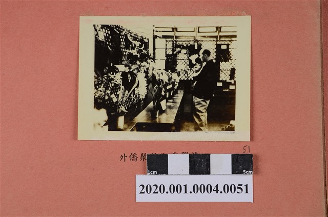 外僑會場賞蘭一景照片 (共2張)