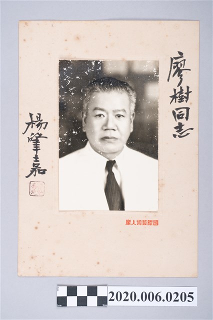 楊肇嘉獨照 (共4張)