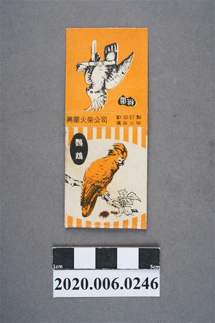 興華火柴公司：鸚鵡 (共7張)