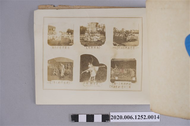 在花園裡留個紀念 (共3張)