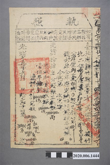 執照鄭速芳 (共3張)