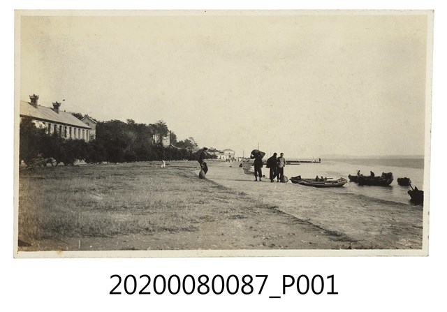 岸邊一景 (共2張)