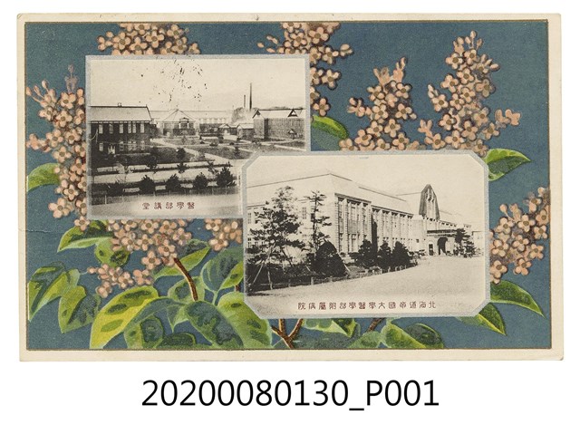 北海道帝國大學醫學院明信片 (共2張)