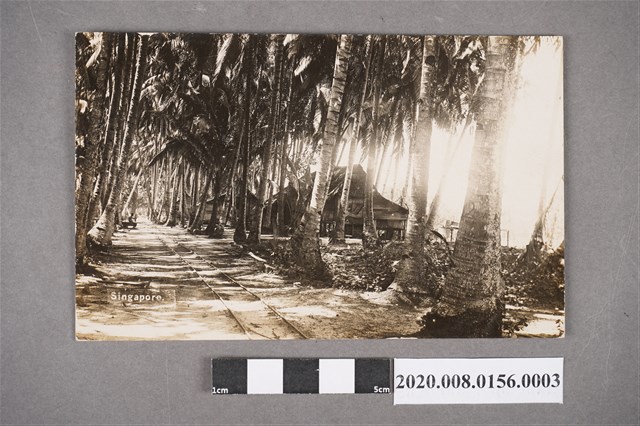 林間小屋 (共4張)