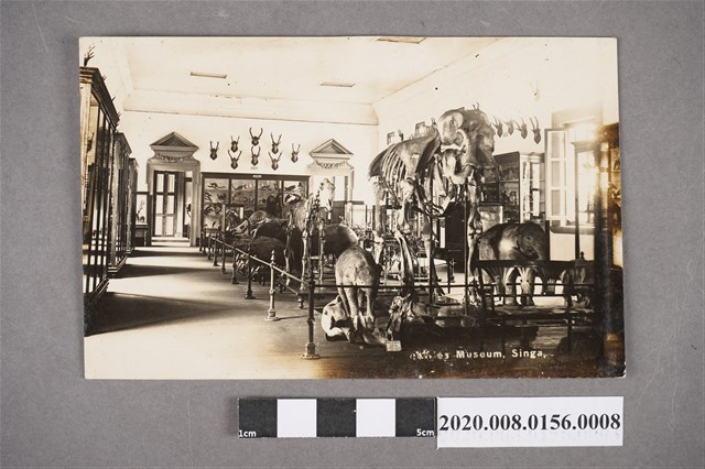 博物館一隅 (共4張)