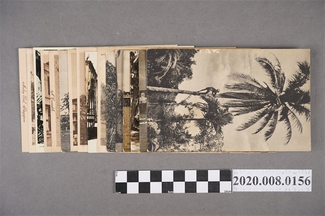 早期新加坡黑白風景明信片 (共2張)