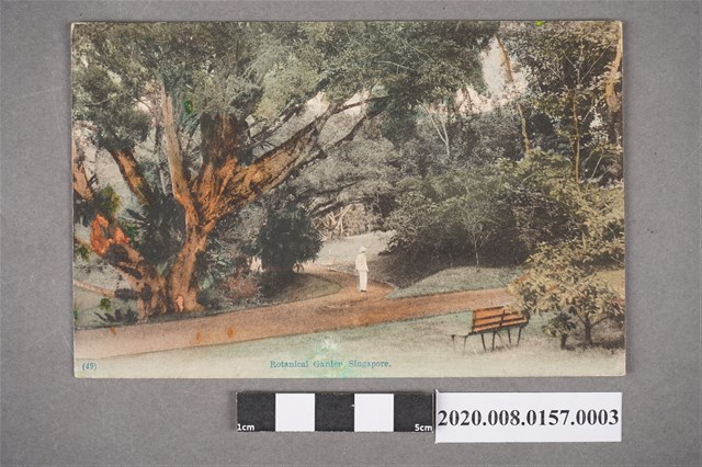 植物園一隅 (共4張)