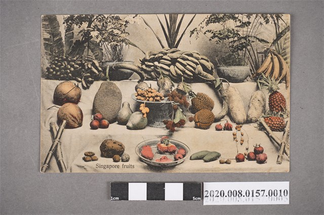 新加坡水果 (共4張)