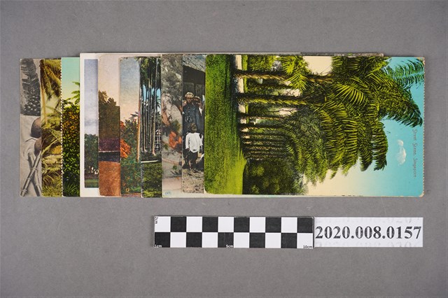 早期新加坡彩色風景明信片 (共2張)